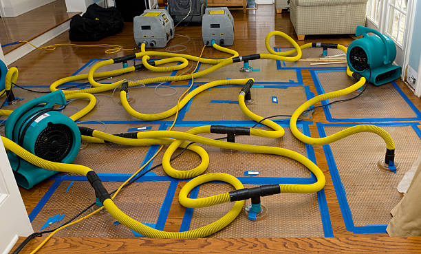 Professional Crawl Space Water Removal technician working in Inverness, CA